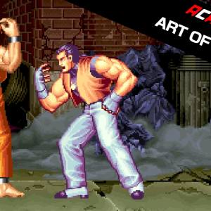 ACA NEOGEO ART OF FIGHTING