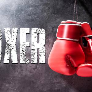 Boxer