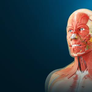 Human Anatomy VR