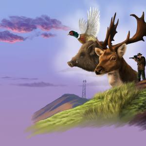 Virtual Hunter