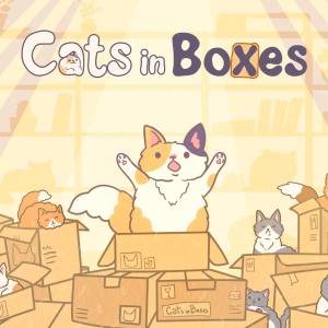 Cats in Boxes