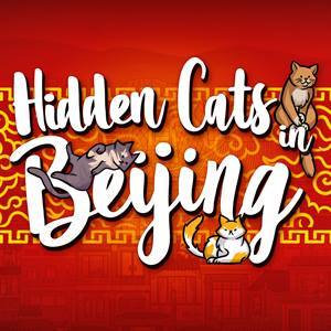 Hidden Cats in Beijing