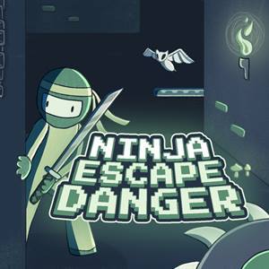 Ninja Escape Danger