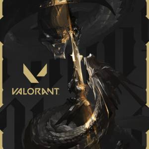 VALORANT